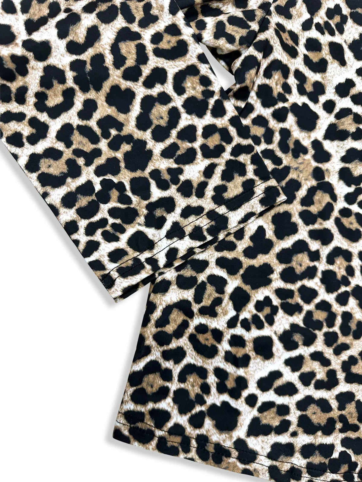 Leopard Print Top and Pants Set