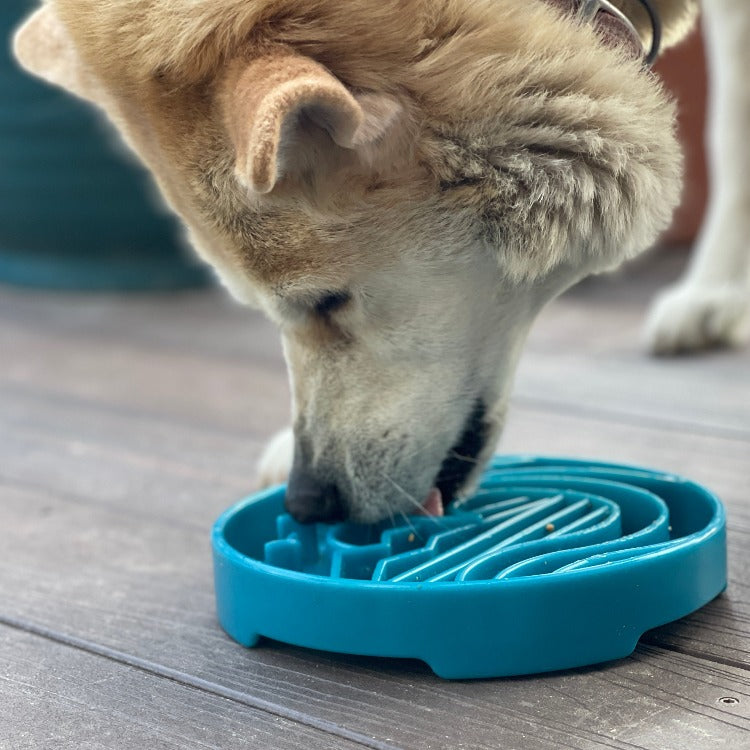 Baja Design eTray - Shallow Slow Feeder Dog Bowl for Enrichment | USA Made