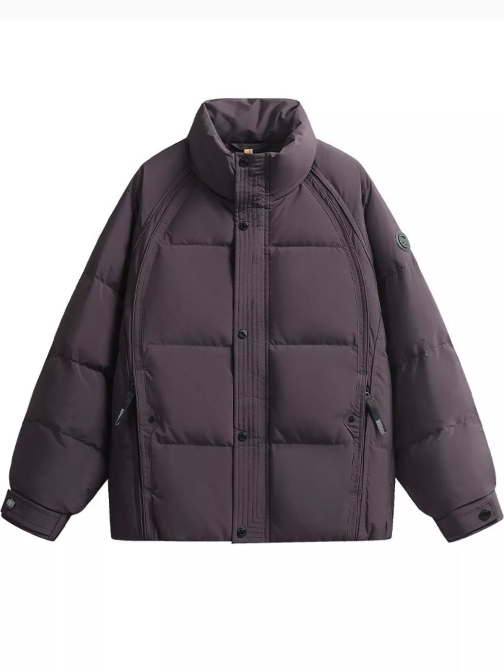 Men's Plus Size Stand Collar Puffer Jacket